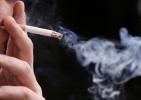 مسئول دبیرخانه ستاد کنترل مبارزه با دخانیات وزارت 